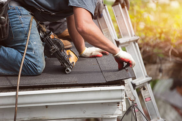 Best Roof Gutter Cleaning  in Northwest Harwich, MA